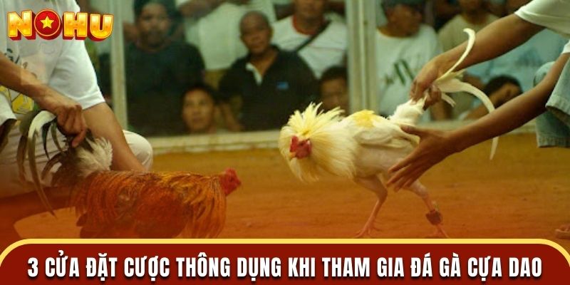 3 cửa đặt cược thông dụng khi tham gia đá gà cựa dao