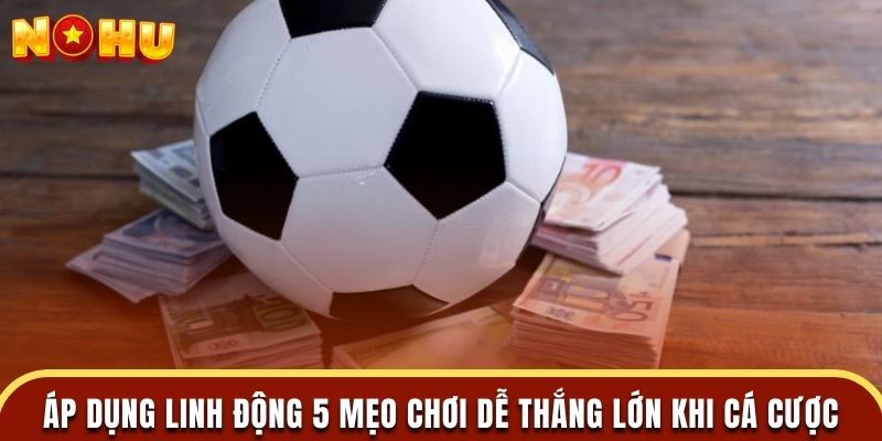 Áp dụng linh động 5 mẹo chơi dễ thắng lớn khi cá cược