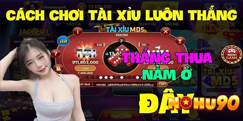 Những mẹo hay trong cách chơi tài xỉu trên sẽ giúp bạn chinh phục Nohu90