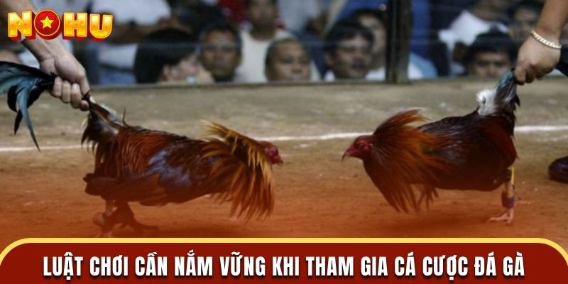 Luật chơi cần nắm vững khi tham gia cá cược đá gà